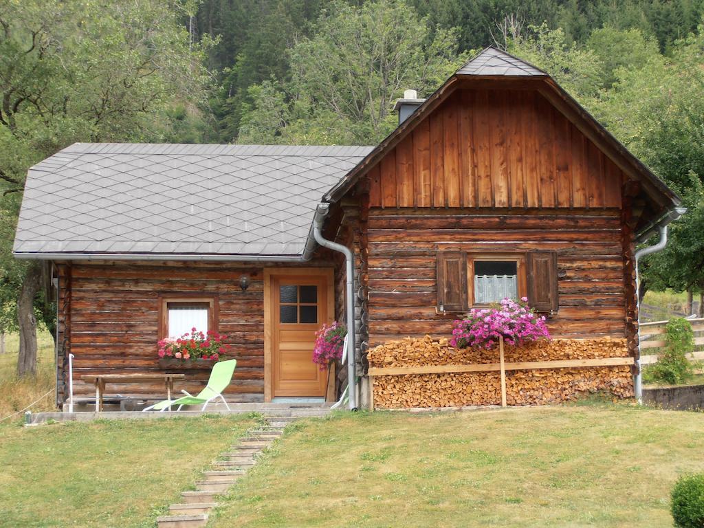 Huberbauer Villa Johnsbach Cameră foto