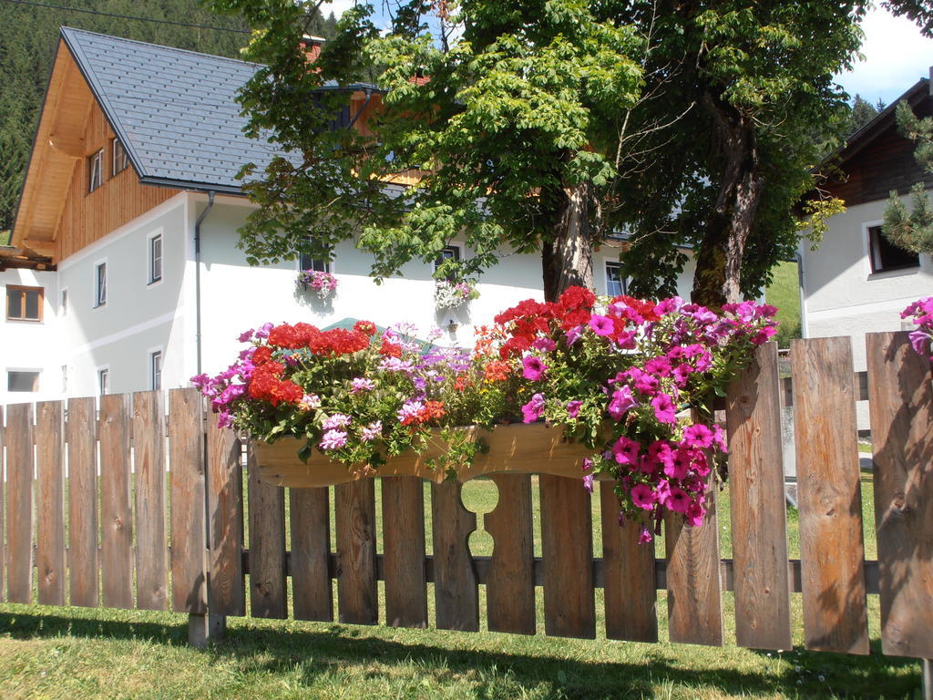 Huberbauer Villa Johnsbach Cameră foto