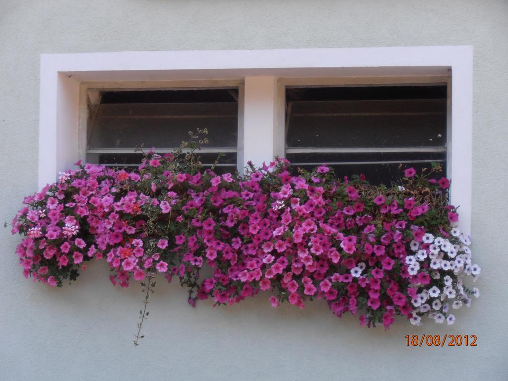 Huberbauer Villa Johnsbach Exterior foto