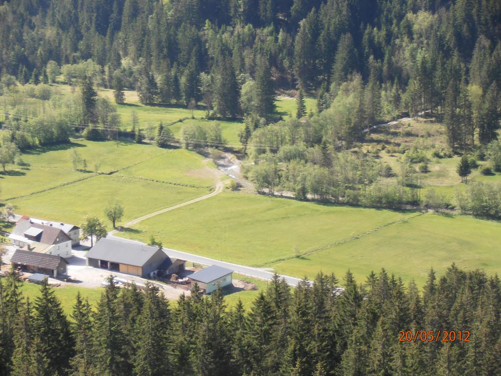 Huberbauer Villa Johnsbach Cameră foto