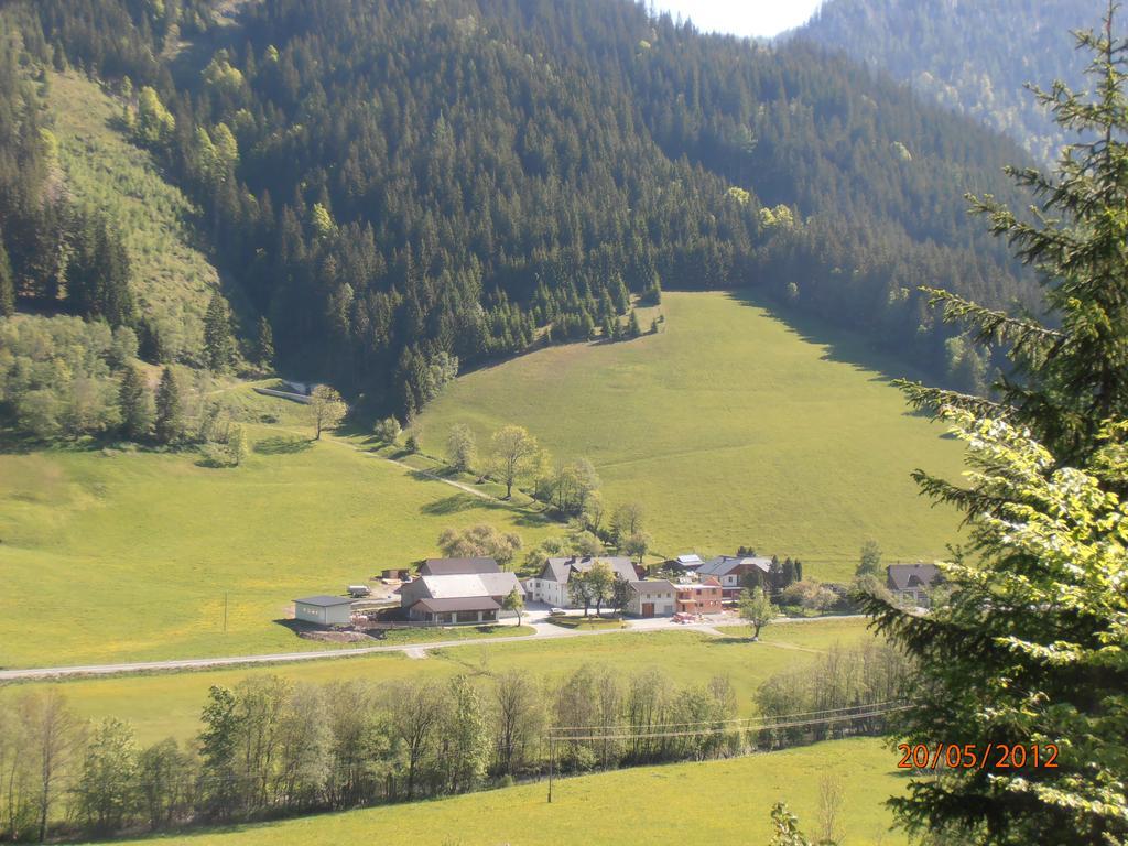 Huberbauer Villa Johnsbach Cameră foto