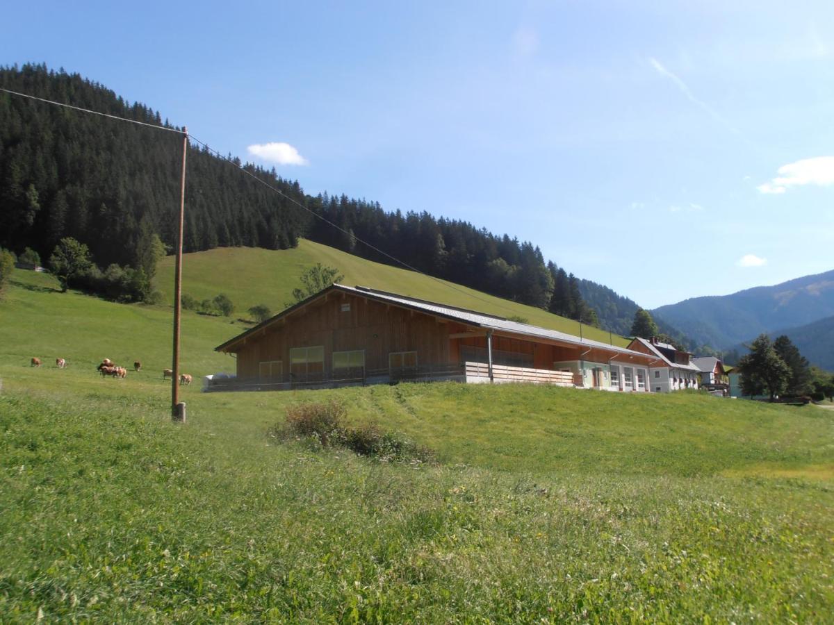 Huberbauer Villa Johnsbach Exterior foto