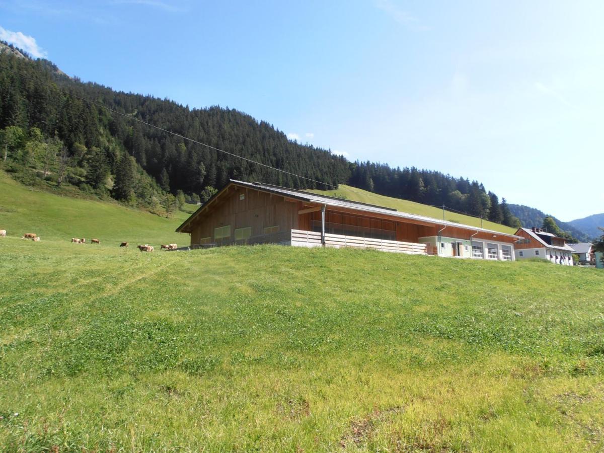 Huberbauer Villa Johnsbach Exterior foto